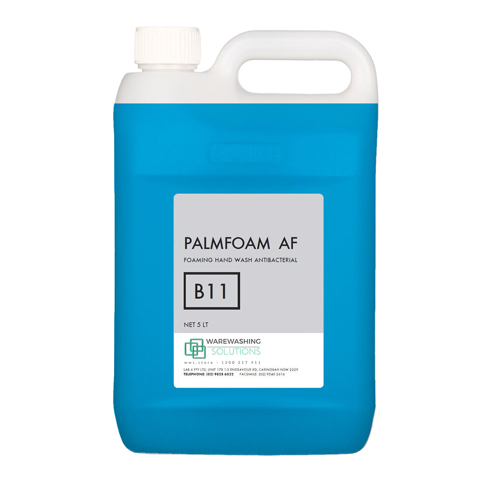 B11 Palmfoam - Foaming Antibacterial Handwash