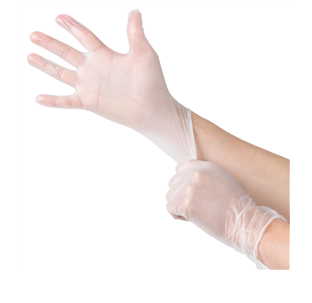 Bastion Clear Vinyl Powder-Free Glove 1000 per Ctn