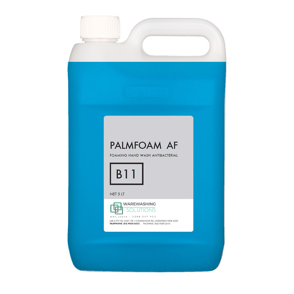 B11 Palmfoam - Foaming Antibacterial Handwash
